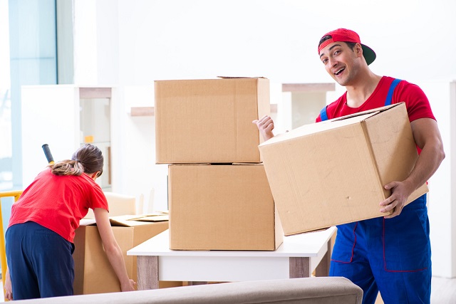 Packers And Movers in Noida Sector 3